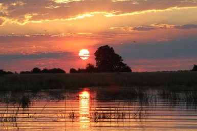 Ein atemberaubender Sonnenuntergang über dem Chobe-Fluss in Botswana, mit leuchtenden Farben und reflektierendem Wasser.