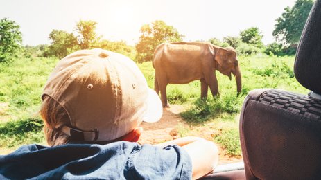 Junge im Jeep beobachtet einen Elefanten in der grünen Landschaft – Sri Lanka Reise mit Kindern