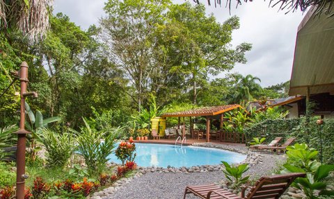 Ein einladender Pool umgeben von üppigem Grün und bunten Pflanzen, ideal für Entspannung in der Natur.