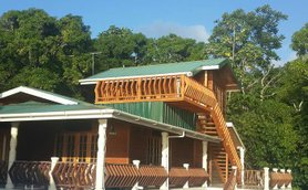 Ein charmantes Holzhaus mit einem grünen Dach, umgeben von üppigem, grünem Wald und strahlend blauem Himmel.