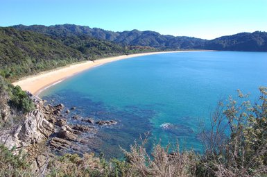 Ein atemberaubender Blick auf eine kurvenreiche Küste mit goldenem Sand und klarem, türkisfarbenem Wasser im Abel Tasman Nationalpark.