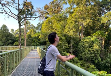 Teenager erkundet den tropischen Regenwald des Rainforest Discovery Centre aus – Malaysia & Borneo Reise mit Kindern