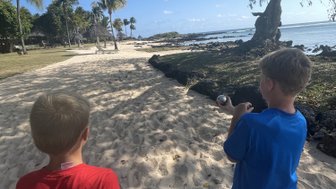 Zwei Kinder spielen Boccia am Strand, umgeben von Palmen und einem klaren blauen Himmel.