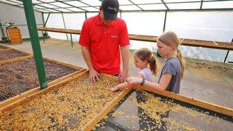 Kinder lauschen gespannt dem Guide während der Don Juan Kaffeetour – Costa Rica Familienreise