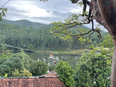 Ein Abenteurer schwingt an einer Zipline über einen ruhigen See, umgeben von üppigem Grün und sanften Hügeln.