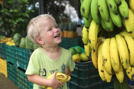 Kleines Kind greift nach Bananen – Costa Rica Familienreise