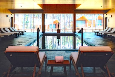 Ein eleganter Innenpool mit Holzverkleidung, umgeben von Liegen und großen Fenstern, die den Blick auf die Natur freigeben.