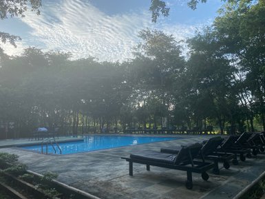 Ein ruhiger Poolbereich umgeben von üppigem Grün, mit Liegen und einem klaren blauen Wasser, das zum Entspannen einlädt.