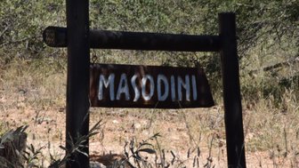 Ein hölzernes Schild mit der Aufschrift 'MASODINI' steht in einer natürlichen Umgebung mit trockenem Gras und Büschen.