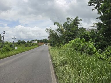 Eine asphaltierte Straße verläuft zwischen üppigem grünem Gebüsch und hohem Gras unter einem bewölkten Himmel.