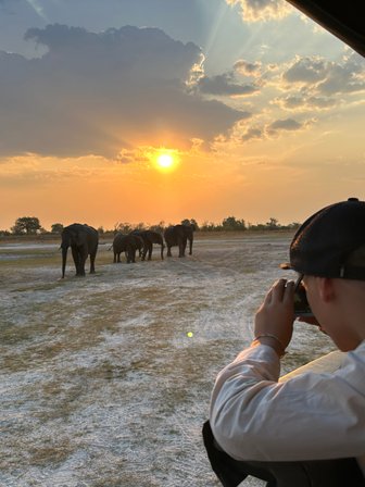 Eine Gruppe von Elefanten wandert majestätisch in der Abenddämmerung, während Touristen sie aus einem Jeep beobachten.
