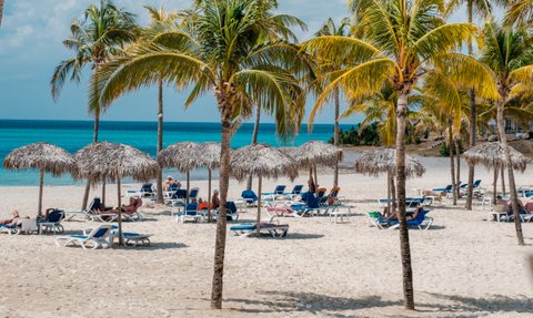 Ein sonniger Strand mit Palmen und Liegen, wo Menschen entspannt unter Strohdächern liegen und die Aussicht genießen.