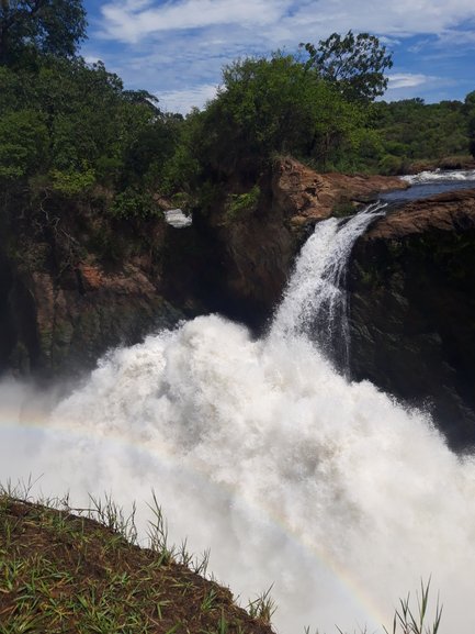 Ein beeindruckender Wasserfall stürzt mit kraftvollem Wasser in eine Schlucht, umgeben von üppigem Grün und strahlend blauem Himmel.