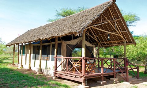 Ein Zelt mit Strohdach steht in einer grünen Umgebung, umgeben von Bäumen und Gras, ideal für einen Natururlaub.