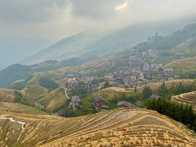 Die terrassierten Reisfelder erstrecken sich über sanfte Hügel, während ein Dorf in der Ferne zwischen den Bergen sichtbar ist.