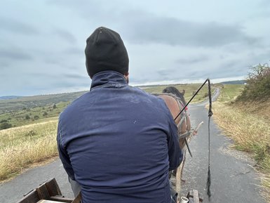 Eine Person sitzt auf einem Wagen, der von einem Pferd gezogen wird, während sie eine ländliche Straße entlangfahren.