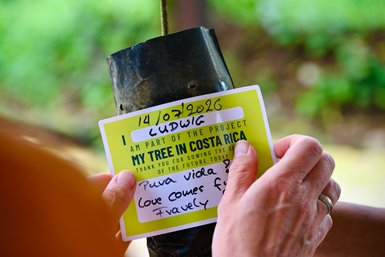 Eine Hand hält eine grüne Karte, auf der steht, dass man Teil eines Baumprojekts in Costa Rica ist, während man einen kleinen Baum anfasst.