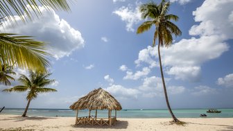 Ein malerischer Strand in Tobago mit einem strohgedeckten Pavillon und Palmen, die sanft im Wind wiegen.