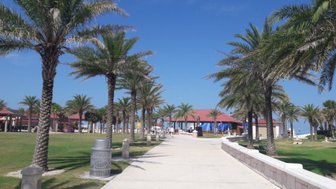 Eine sonnige Promenade gesäumt von Palmen, die zu einem Gebäude mit rotem Dach führt, unter einem strahlend blauen Himmel.