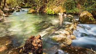 Ein ruhiger Fluss fließt durch eine grüne Landschaft, umgeben von Bäumen und glatten Steinen, die im Wasser liegen.