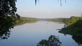 Eine ruhige Gewässerlandschaft im Amazonas, umgeben von üppigem Grün und spiegelndem Wasser unter einem blauen Himmel.