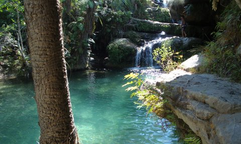Ein klarer Naturpool umgeben von üppigem Grün und sanften Wasserfällen, die in das ruhige Wasser plätschern.