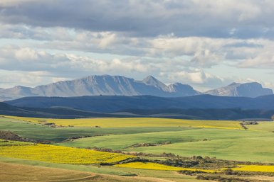 Grüne Winterlandschaft auf der Skeiding Guest Farm – Südafrika Familienreise