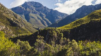 Berglandschaft und Wanderwege im Jonkershoek Nature Reserve – Südafrika Familienreise