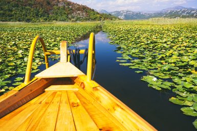 Ein Holzboot fährt durch einen ruhigen Wasserweg, umgeben von üppigen Seerosen und sanften Hügeln im Hintergrund.