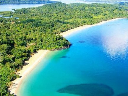 Ein atemberaubender Blick auf einen ruhigen Strand mit klarem, türkisfarbenem Wasser und üppiger grüner Vegetation im Hintergrund.