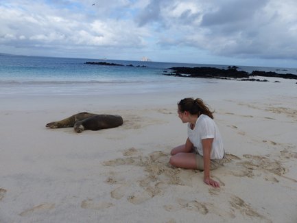 Eine Frau sitzt am Strand und beobachtet zwei Seelöwen, die entspannt im Sand liegen, während das Wasser sanft plätschert.
