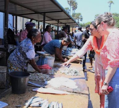 Bunte Fischauswahl auf dem Markt in Negombo – Sri Lanka Reise mit Kindern