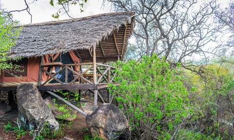 Eine gemütliche Zeltsuite mit Strohdach, umgeben von üppigem Grün und großen Steinen in einer natürlichen Umgebung.