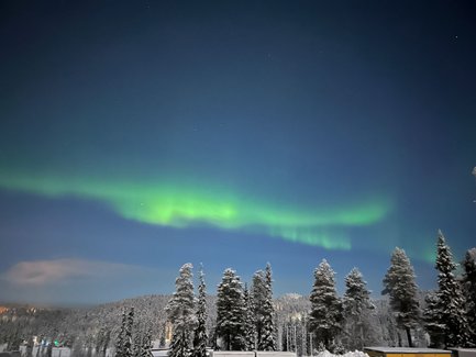 Ein atemberaubendes Nordlicht leuchtet über schneebedeckten Bäumen in Finnland, während der Nachthimmel in sanften Farben strahlt.
