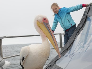 Ein Pelikan steht neben einem Mädchen auf dem Boot - Namibia mit Jugendlichen
