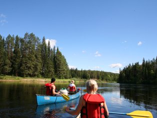 Drei Personen im Kanu paddeln auf einem ruhigen Fluss, umgeben von dichten, grünen Wäldern und klarem blauen Himmel.