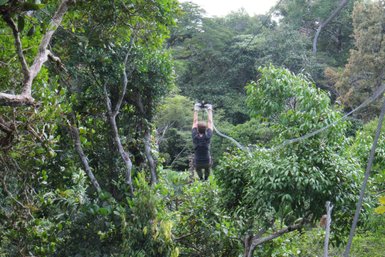 Eine Person schwingt an einem Seil durch den dichten Wald, umgeben von üppigem Grün und hohen Bäumen.