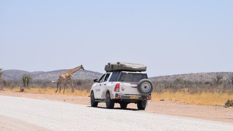 Ein Jeep mit Dachzelt steht vor einer Giraffe - Namibia Familienurlaub