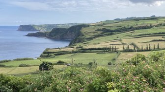 Eine atemberaubende Küstenlandschaft mit sanften Hügeln, die ins blaue Wasser übergehen, umgeben von üppigem Grün.