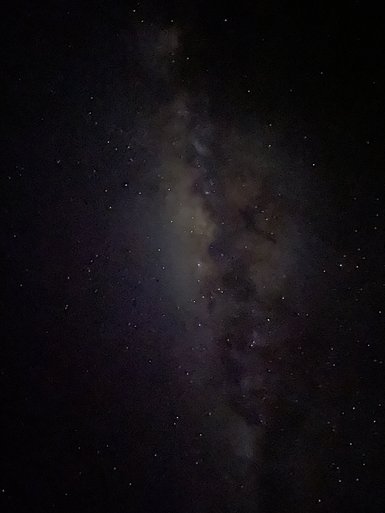 Der nächtliche Himmel ist mit unzähligen funkelnden Sternen übersät, während die Milchstraße hell leuchtet.