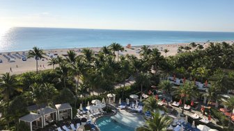 Ein Blick auf den Poolbereich eines Hotels, umgeben von Palmen und Blick auf den Strand von Miami Beach.