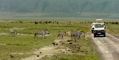 Safari-Jeep fährt nahe an Zebras vorbei – Tansania Reise mit Kindern