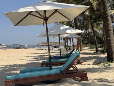 Am Strand von Goa stehen Liegen unter weißen Sonnenschirmen, umgeben von Palmen und feinem Sand, bei strahlend blauem Himmel.