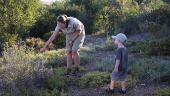Guide erklärt einem Kind die Natur während einer Safari in der Buffelsdrift Game Lodge – Garden Route mit Kindern
