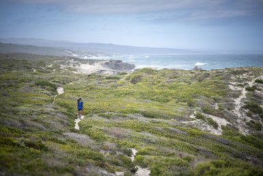 Wandern entlang der Küste im The Hoop Nature Reserve – Südafrika Familienreise