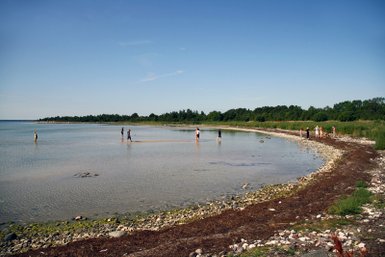Eine Gruppe von Menschen steht im flachen Wasser an einem ruhigen Strand, umgeben von grüner Vegetation und klarem Himmel.