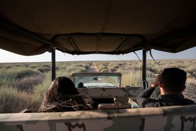 Blick aus Jeep im Shaumari Wildlife Reserve - Jordanien Familienreise