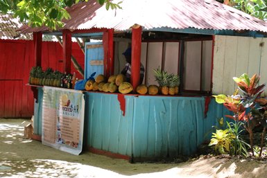 Ein lebendiger Verkaufsstand in Samana, gefüllt mit frischen Ananas und Melonen, umgeben von bunten Pflanzen.