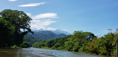 Ein ruhiger Fluss schlängelt sich durch üppige grüne Wälder, während majestätische Berge im Hintergrund sichtbar sind.