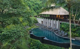 Ein luxuriöser Infinity-Pool umgeben von üppigem Grün und eleganten Liegen, ideal für Entspannung und Erholung.